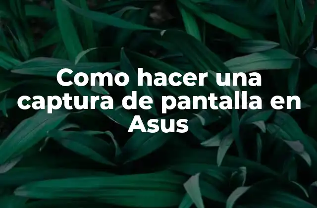 Como Hacer una Captura de Pantalla en Asus