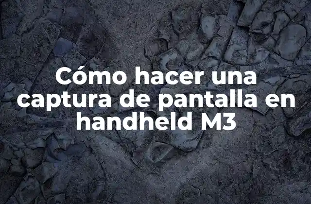 Cómo Hacer una Captura de Pantalla en Handheld M3