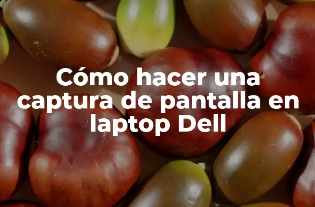 Cómo Hacer una Captura de Pantalla en Laptop Dell