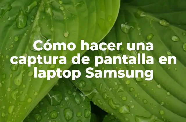 Cómo Hacer una Captura de Pantalla en Laptop Samsung