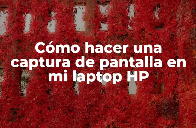 Cómo Hacer una Captura de Pantalla en Mi Laptop Hp