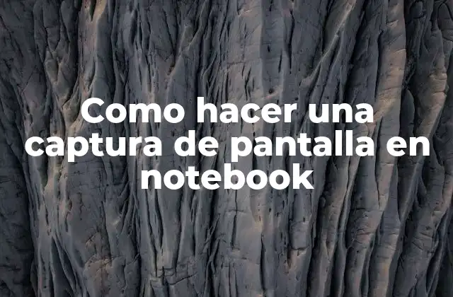 Captura de pantalla en notebook