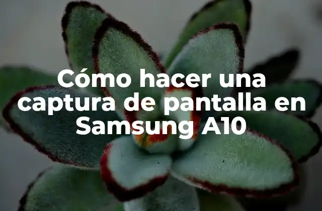 Cómo Hacer una Captura de Pantalla en Samsung A10