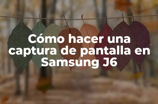 Cómo Hacer una Captura de Pantalla en Samsung J6