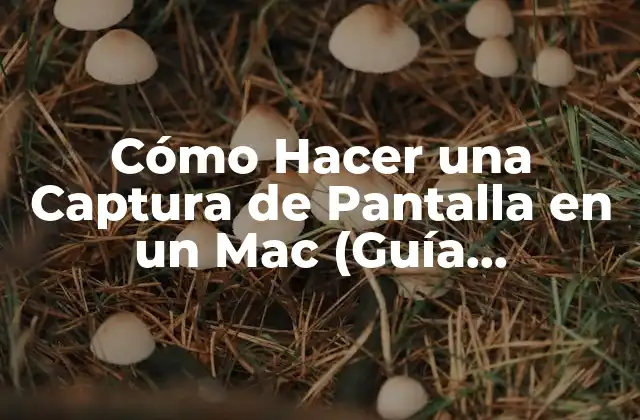 ¿Por qué es importante saber cómo hacer una captura de pantalla en un Mac?