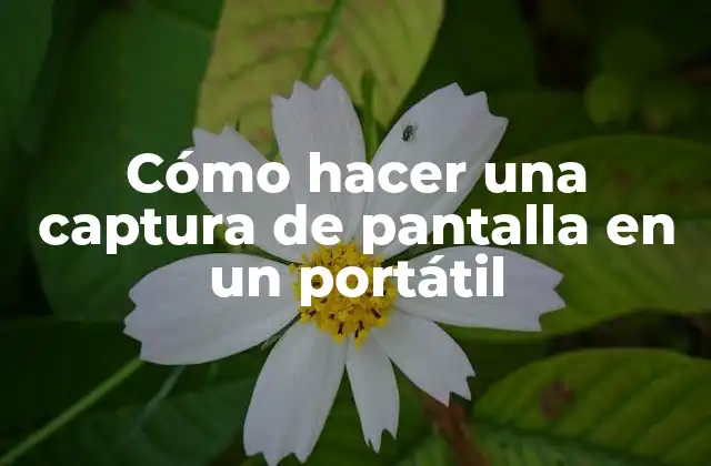 Cómo Hacer una Captura de Pantalla en un Portátil