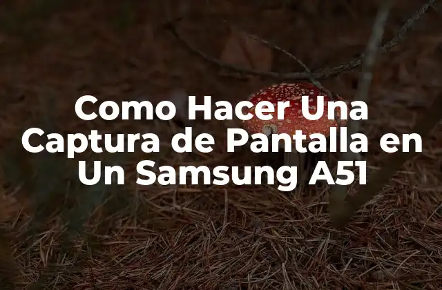 Como Hacer una Captura de Pantalla en un Samsung A51