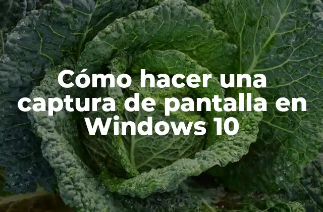 Cómo Hacer una Captura de Pantalla en Windows 10