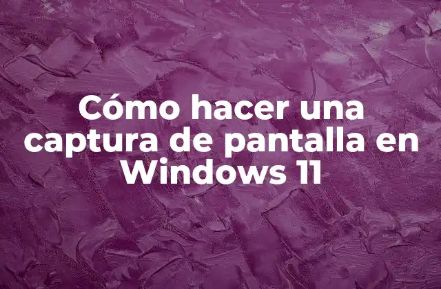 Cómo Hacer una Captura de Pantalla en Windows 11