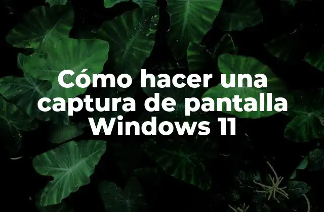 Cómo Hacer una Captura de Pantalla Windows 11