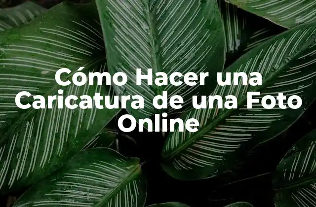 Cómo Hacer una Caricatura de una Foto Online