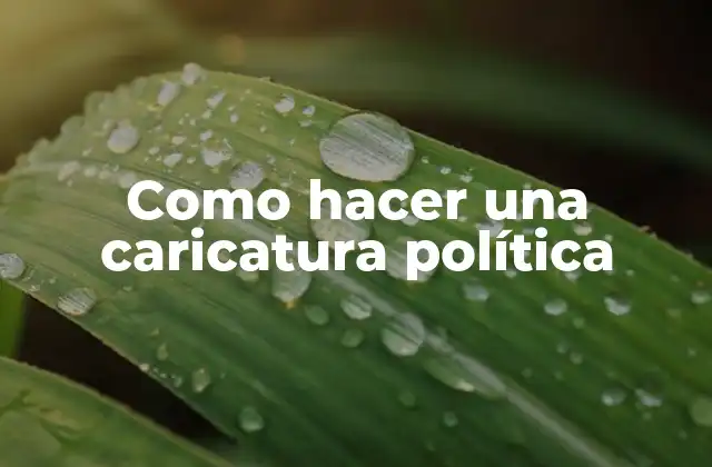 Como Hacer una Caricatura Política