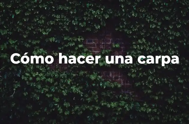 Cómo Hacer una Carpa