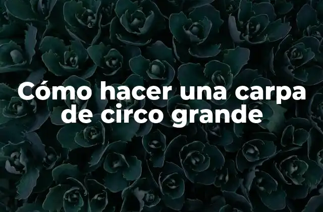 Cómo Hacer una Carpa de Circo Grande