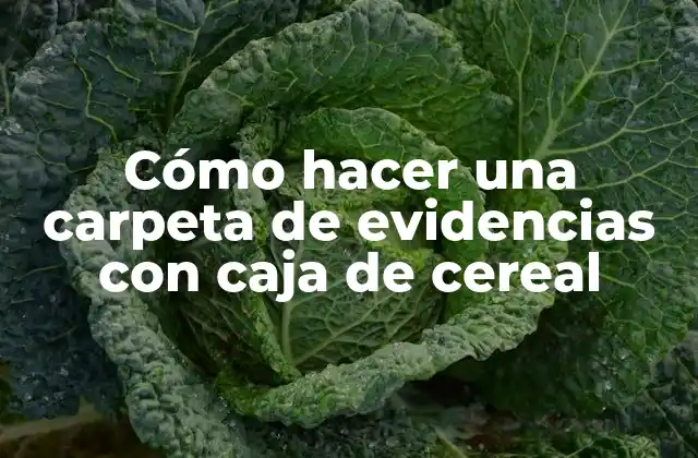 Cómo Hacer una Carpeta de Evidencias con Caja de Cereal