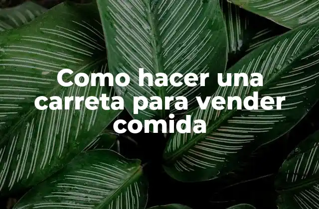 Como Hacer una Carreta para Vender Comida 2 ¿Qué es una carreta de comida y para qué sirve?