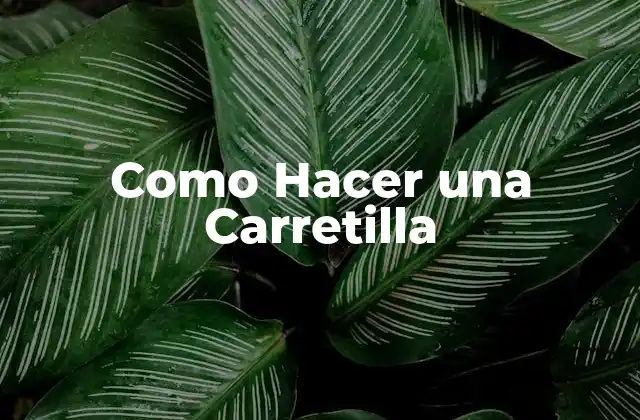 Como Hacer una Carretilla