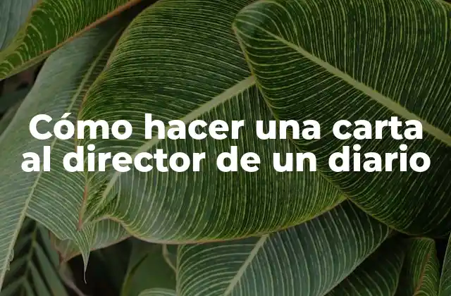 Cómo Hacer una Carta Al Director de un Diario