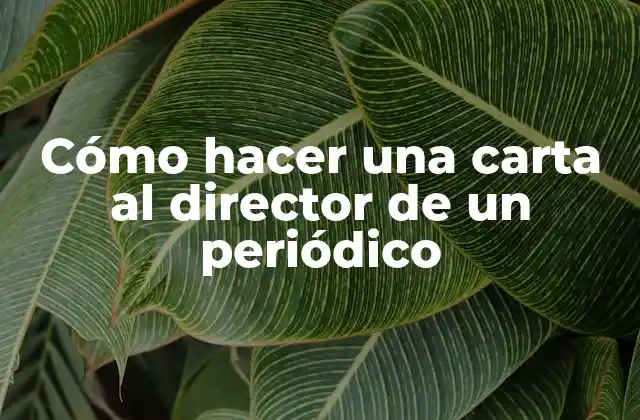 Cómo Hacer una Carta Al Director de un Periódico