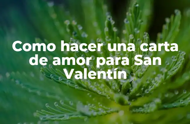 Como Hacer una Carta de Amor para San Valentín