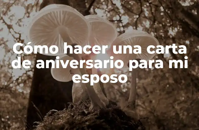Cómo Hacer una Carta de Aniversario para Mi Esposo