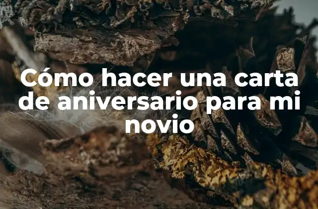 Cómo Hacer una Carta de Aniversario para Mi Novio