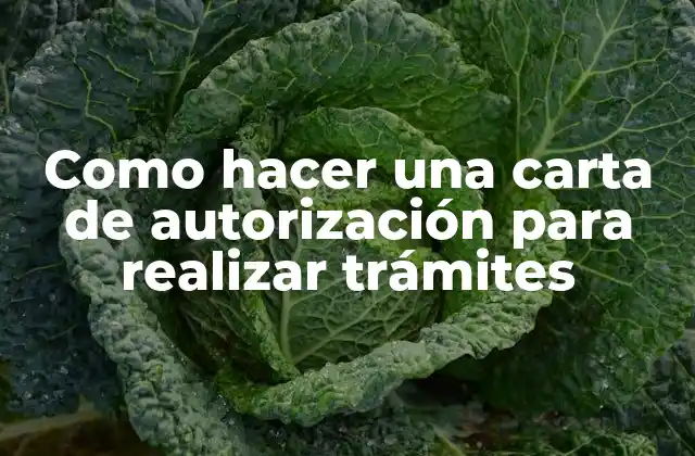 Como Hacer una Carta de Autorización para Realizar Trámites