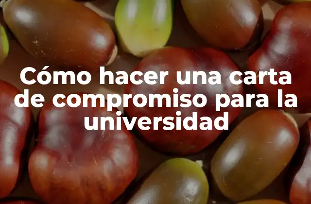 Cómo Hacer una Carta de Compromiso para la Universidad