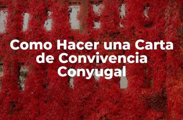 Como Hacer una Carta de Convivencia Conyugal
