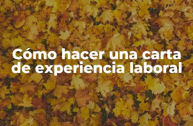 Cómo Hacer una Carta de Experiencia Laboral