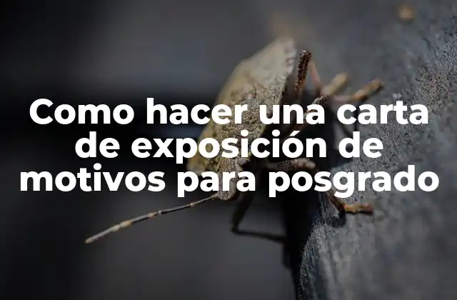 Como Hacer una Carta de Exposición de Motivos para Posgrado