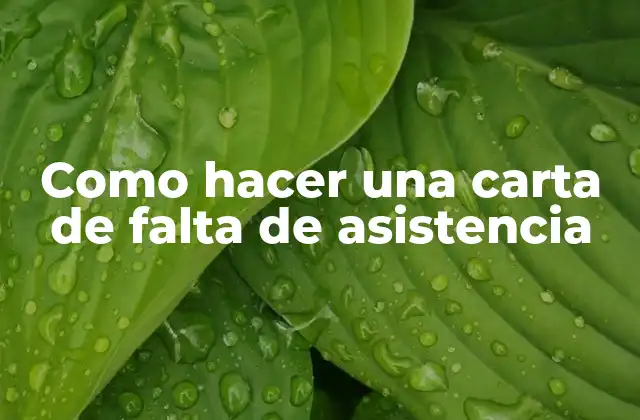 Como Hacer una Carta de Falta de Asistencia