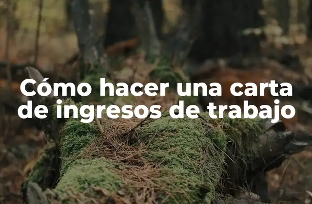 Cómo Hacer una Carta de Ingresos de Trabajo