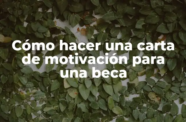 Cómo Hacer una Carta de Motivación para una Beca