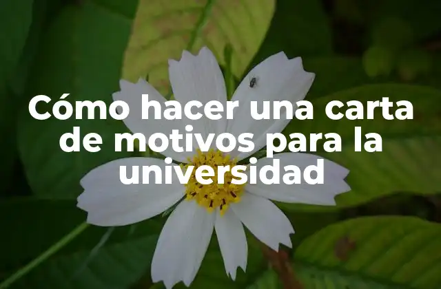 Cómo Hacer una Carta de Motivos para la Universidad