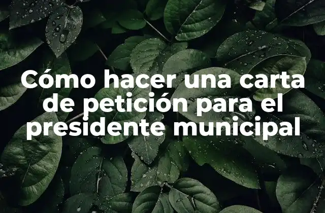 Cómo Hacer una Carta de Petición para el Presidente Municipal