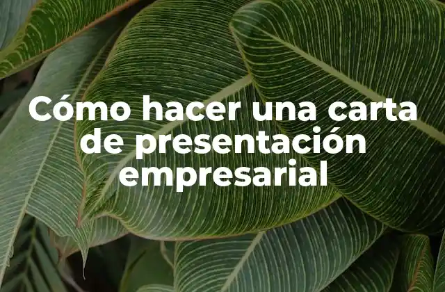 Cómo Hacer una Carta de Presentación Empresarial