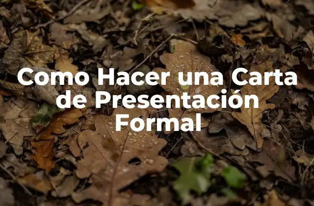 Como Hacer una Carta de Presentación Formal