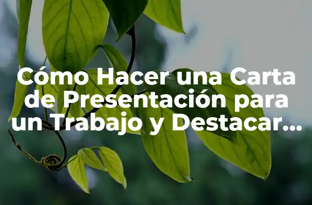 Cómo Hacer una Carta de Presentación para un Trabajo y Destacar ante los Empleadores