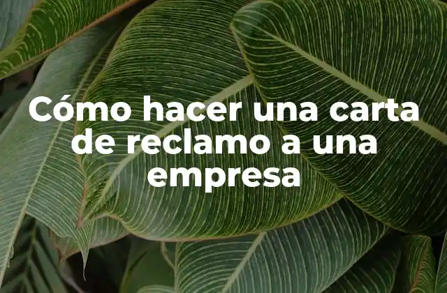 ¿Qué es una carta de reclamo y para qué sirve?