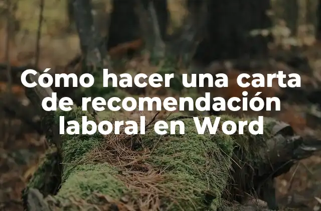 Cómo Hacer una Carta de Recomendación Laboral en Word