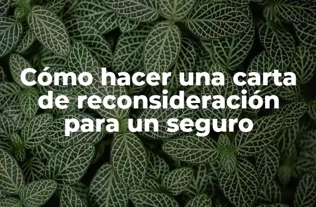 Cómo Hacer una Carta de Reconsideración para un Seguro