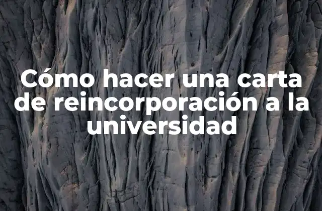 Cómo Hacer una Carta de Reincorporación a la Universidad