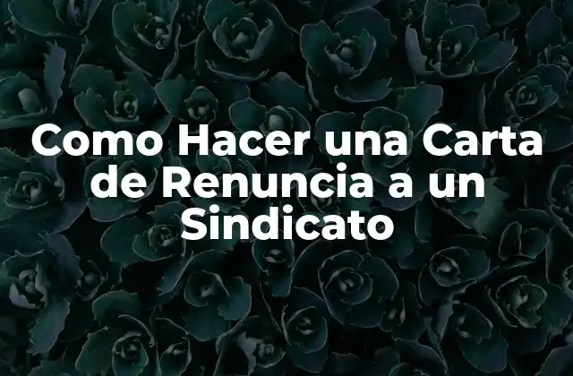 Como Hacer una Carta de Renuncia a un Sindicato 2 ¿Qué es una Carta de Renuncia a un Sindicato?