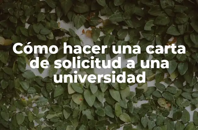 Cómo Hacer una Carta de Solicitud a una Universidad
