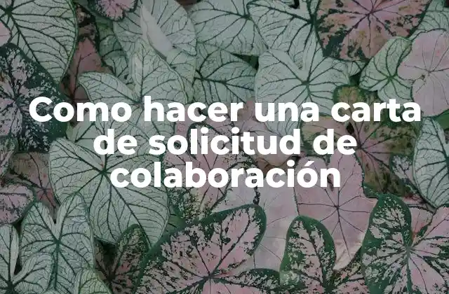 Como Hacer una Carta de Solicitud de Colaboración 2 Qué es una carta de solicitud de colaboración y cómo se utiliza