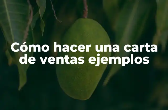 Cómo Hacer una Carta de Ventas Ejemplos