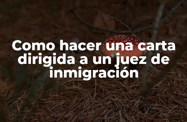 Como Hacer una Carta Dirigida a un Juez de Inmigración 2 Qué es una carta dirigida a un juez de inmigración