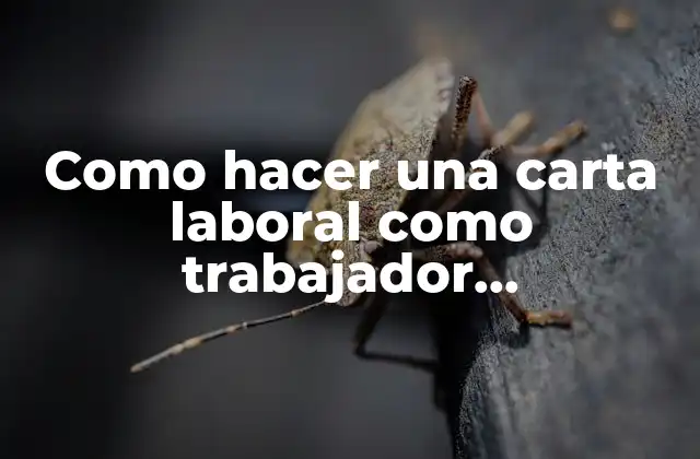¿Qué es una carta laboral como trabajador independiente?