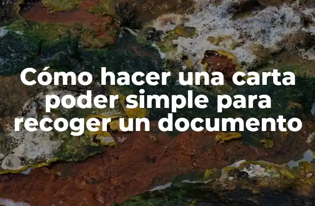 Cómo Hacer una Carta Poder Simple para Recoger un Documento